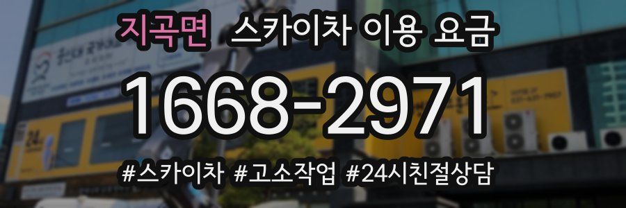 지곡면 스카이차 이용 요금