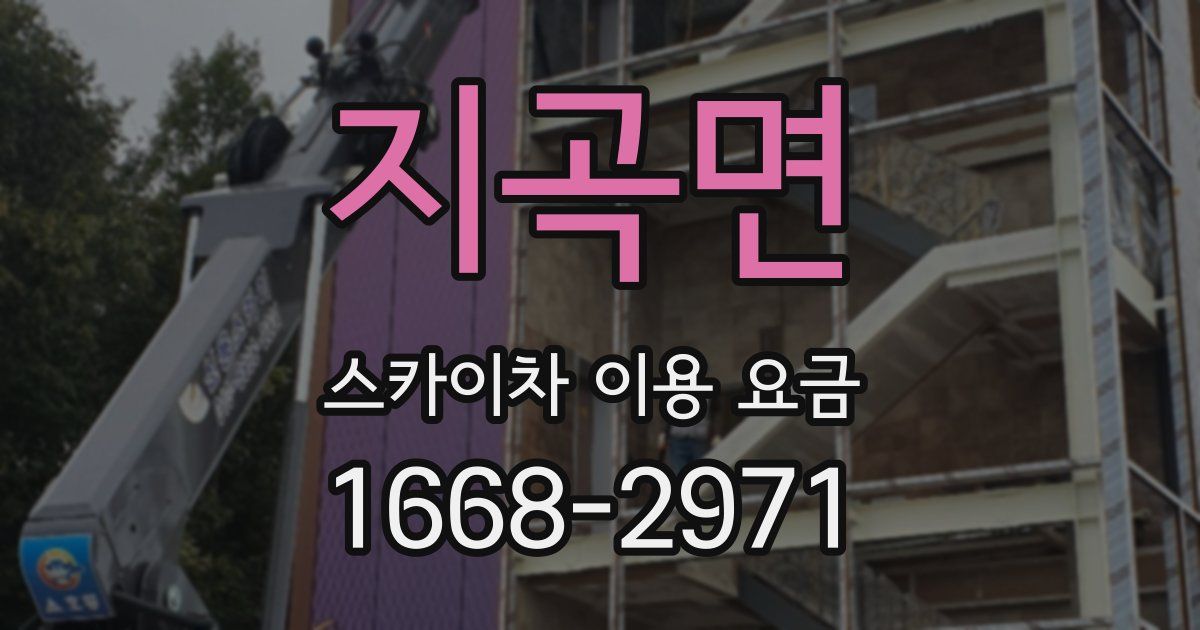 지곡면 스카이차 이용 요금