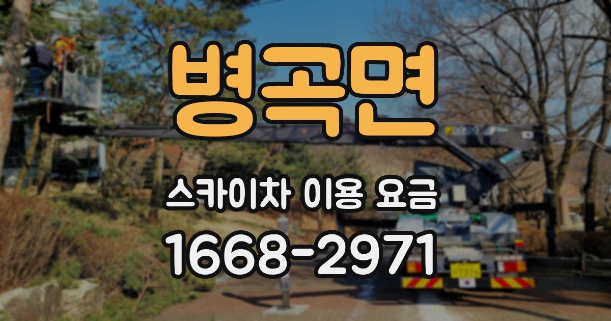 병곡면 스카이차 이용 요금