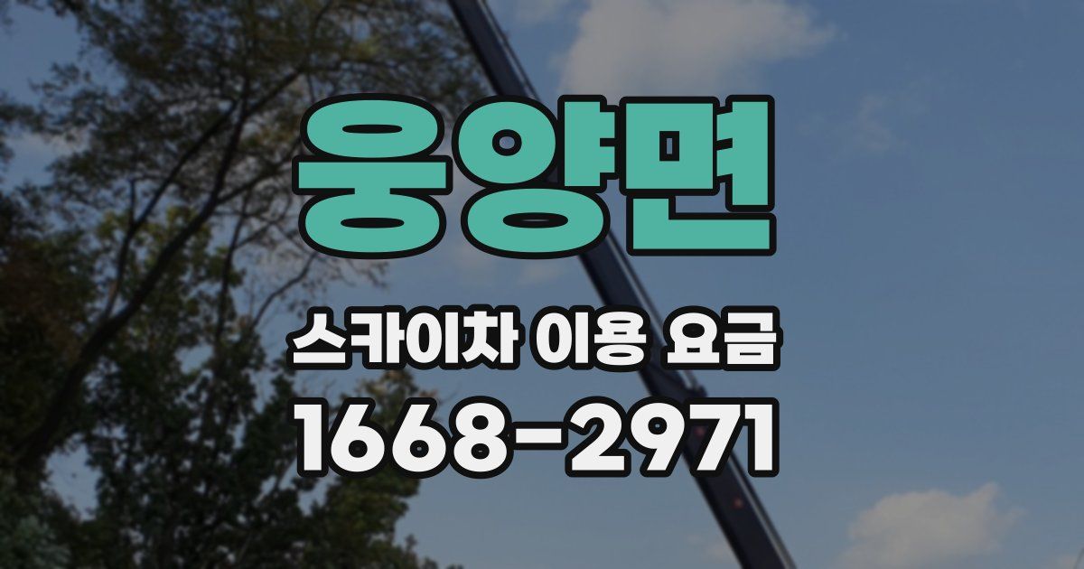 웅양면 스카이차 이용 요금