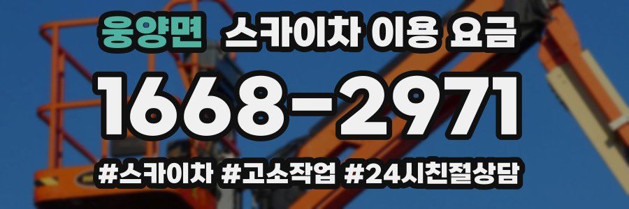 웅양면 스카이차 이용 요금