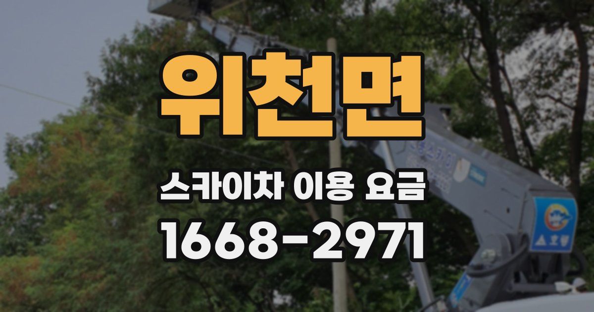 위천면 스카이차 이용 요금
