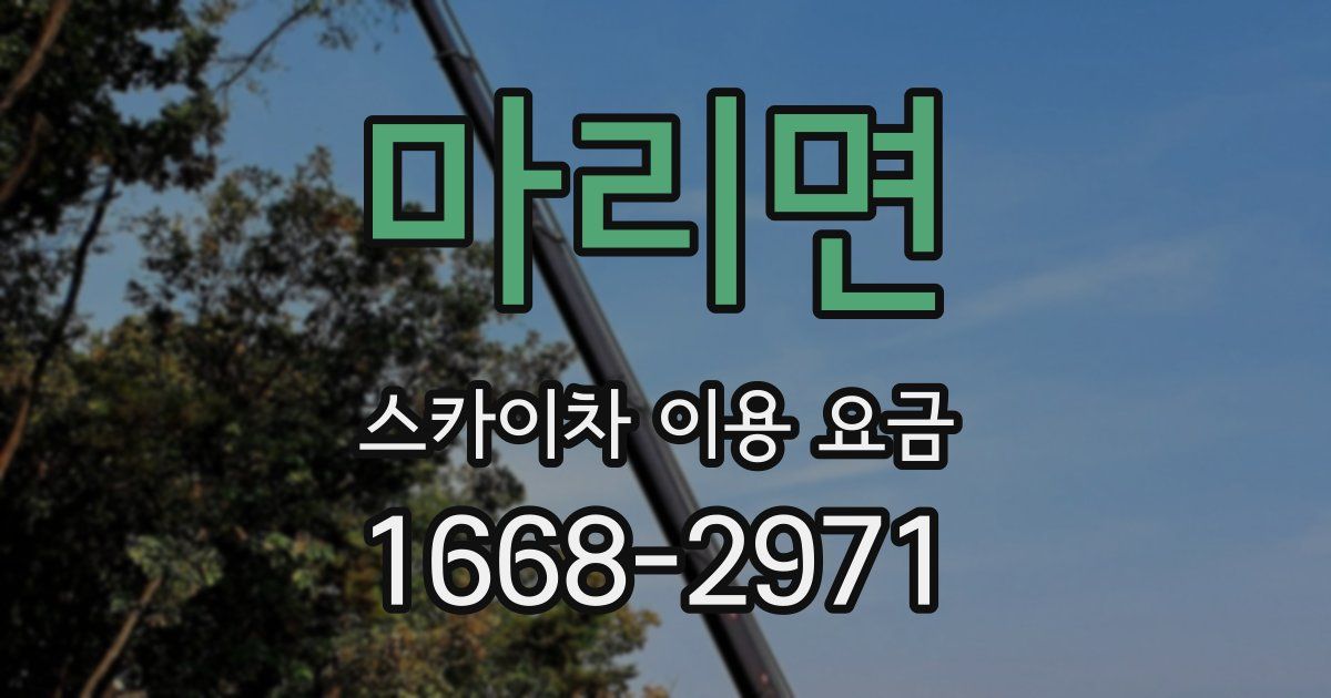 마리면 스카이차 이용 요금