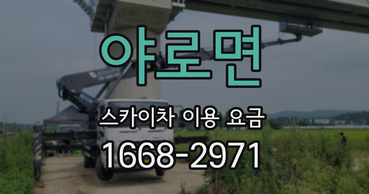 야로면 스카이차 이용 요금