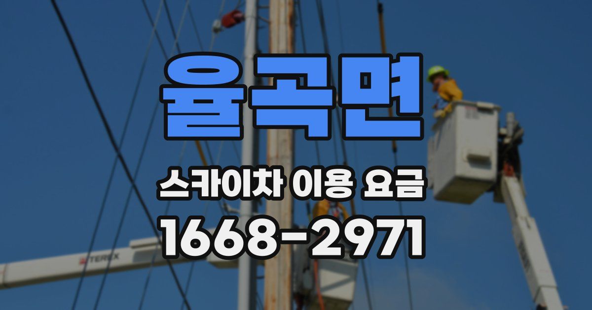 율곡면 스카이차 이용 요금