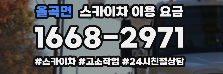 율곡면 스카이차 이용 요금