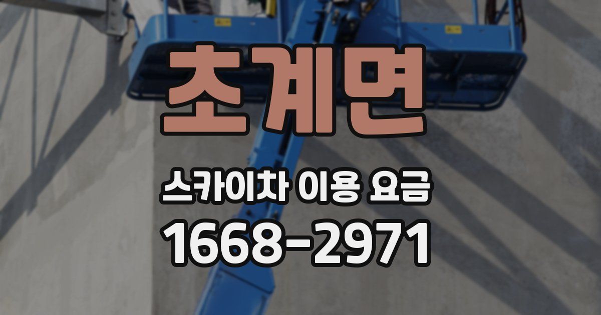 초계면 스카이차 이용 요금