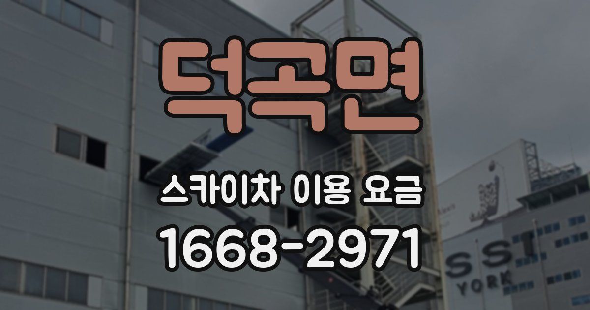 덕곡면 스카이차 이용 요금