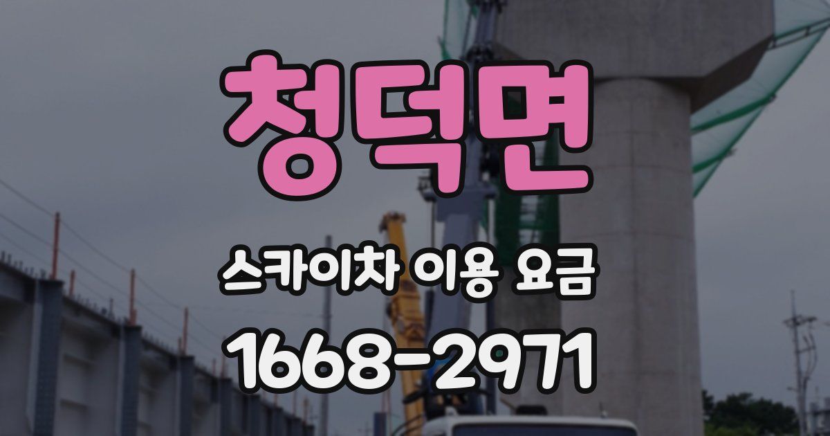 청덕면 스카이차 이용 요금