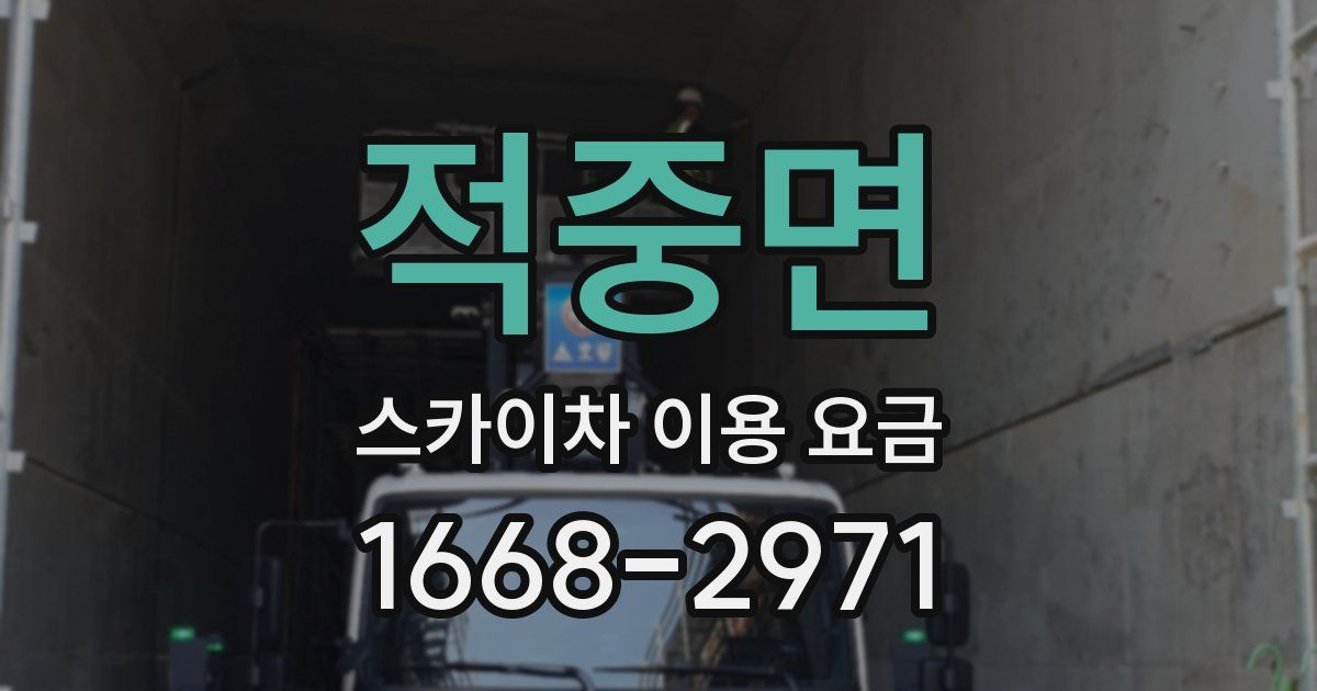 적중면 스카이차 이용 요금