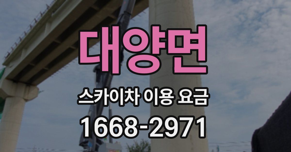 대양면 스카이차 이용 요금