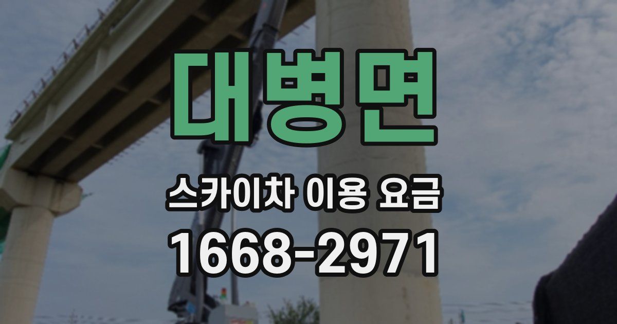 대병면 스카이차 이용 요금