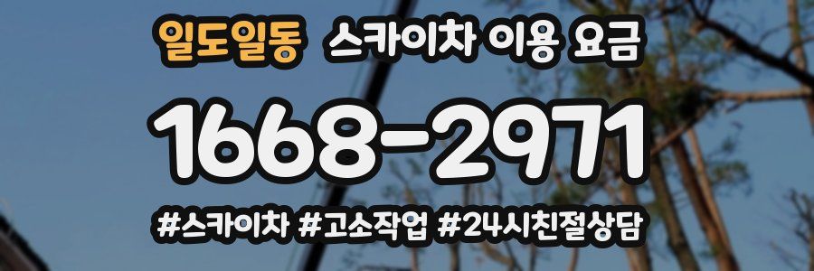 일도일동 스카이차 이용 요금