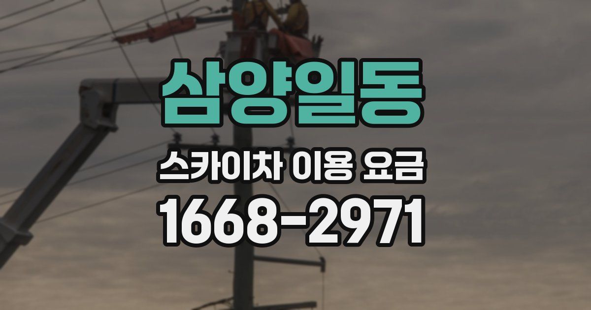삼양일동 스카이차 이용 요금
