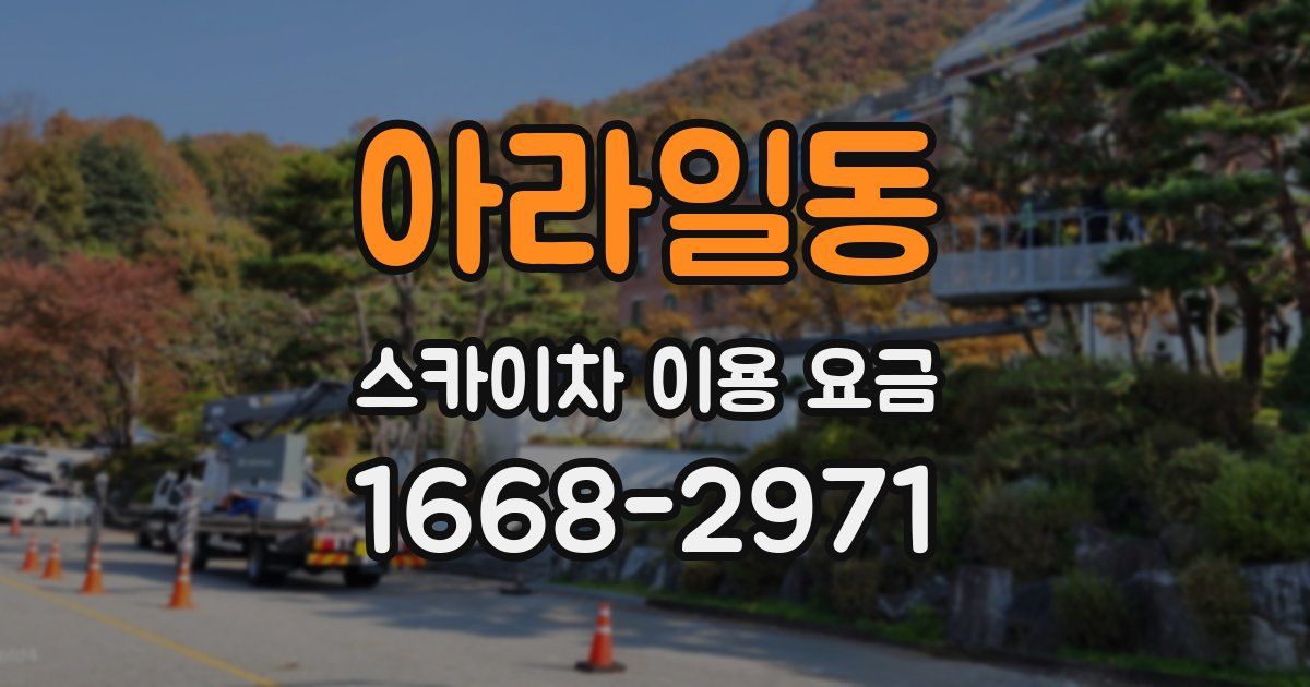 아라일동 스카이차 이용 요금