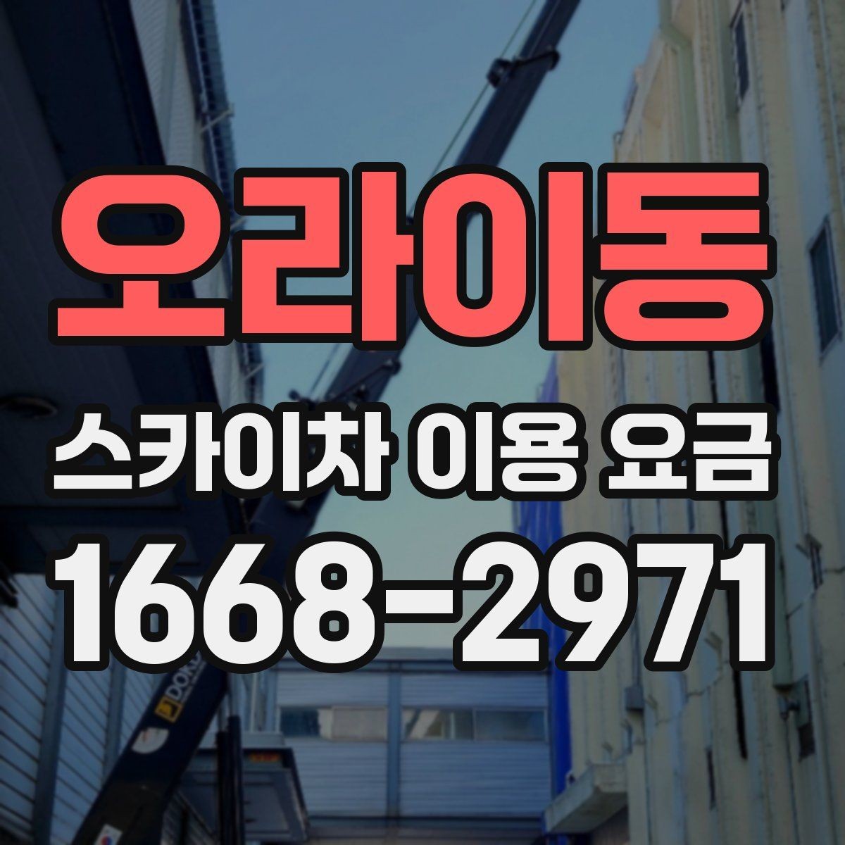 오라이동 스카이차 이용 요금 확인 시 유용한 체크포인트