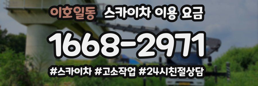 이호일동 스카이차 이용 요금