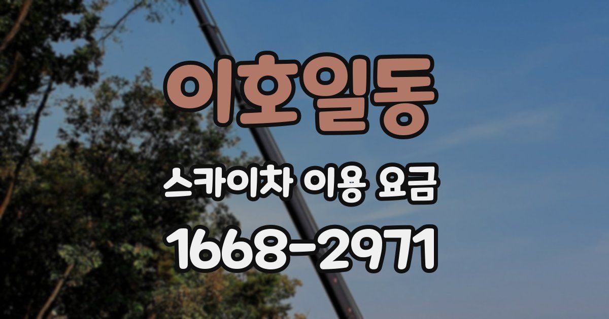 이호일동 스카이차 이용 요금