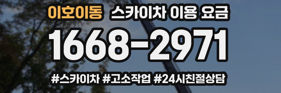 이호이동 스카이차 이용 요금