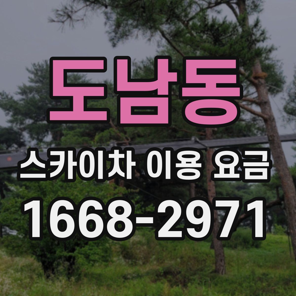 도남동 스카이차 이용 요금