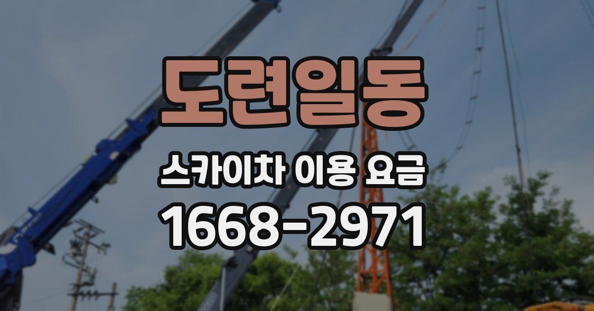 도련일동 스카이차 이용 요금