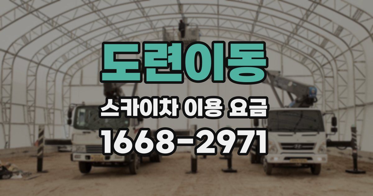 도련이동 스카이차 이용 요금