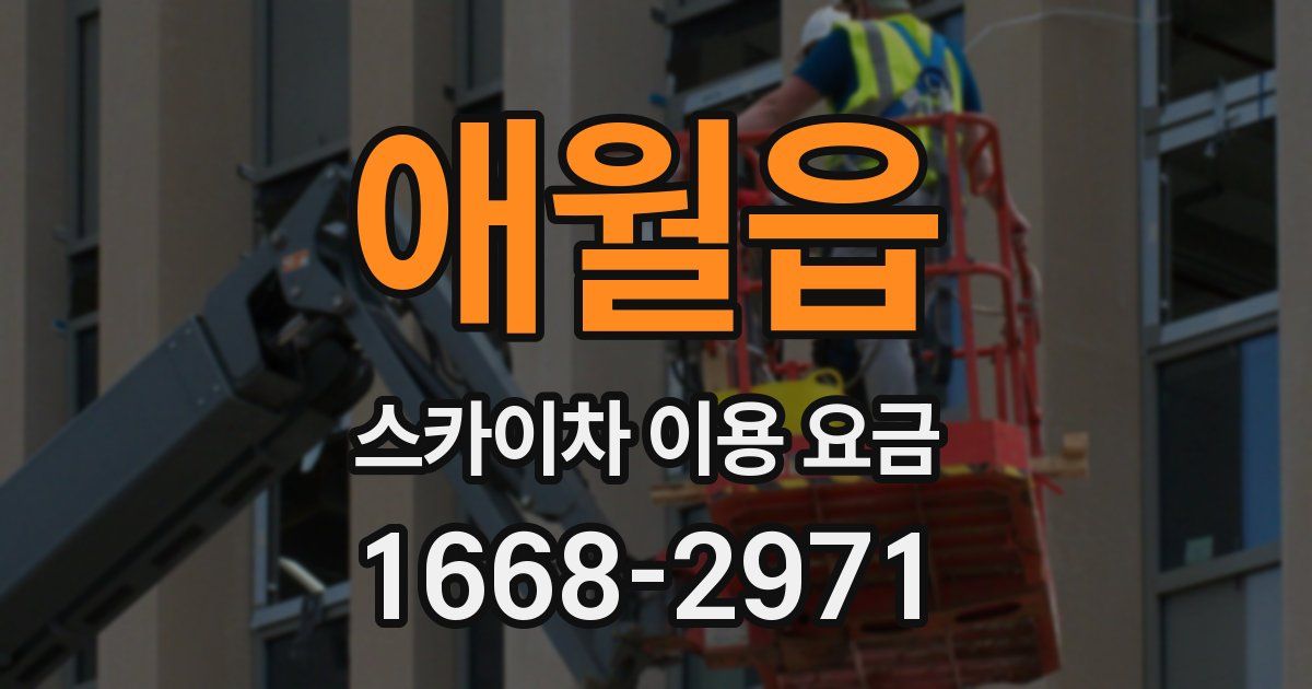 애월읍 스카이차 이용 요금