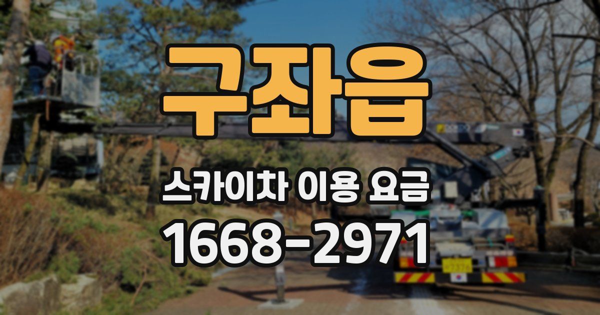 구좌읍 스카이차 이용 요금