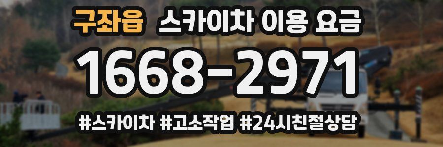 구좌읍 스카이차 이용 요금