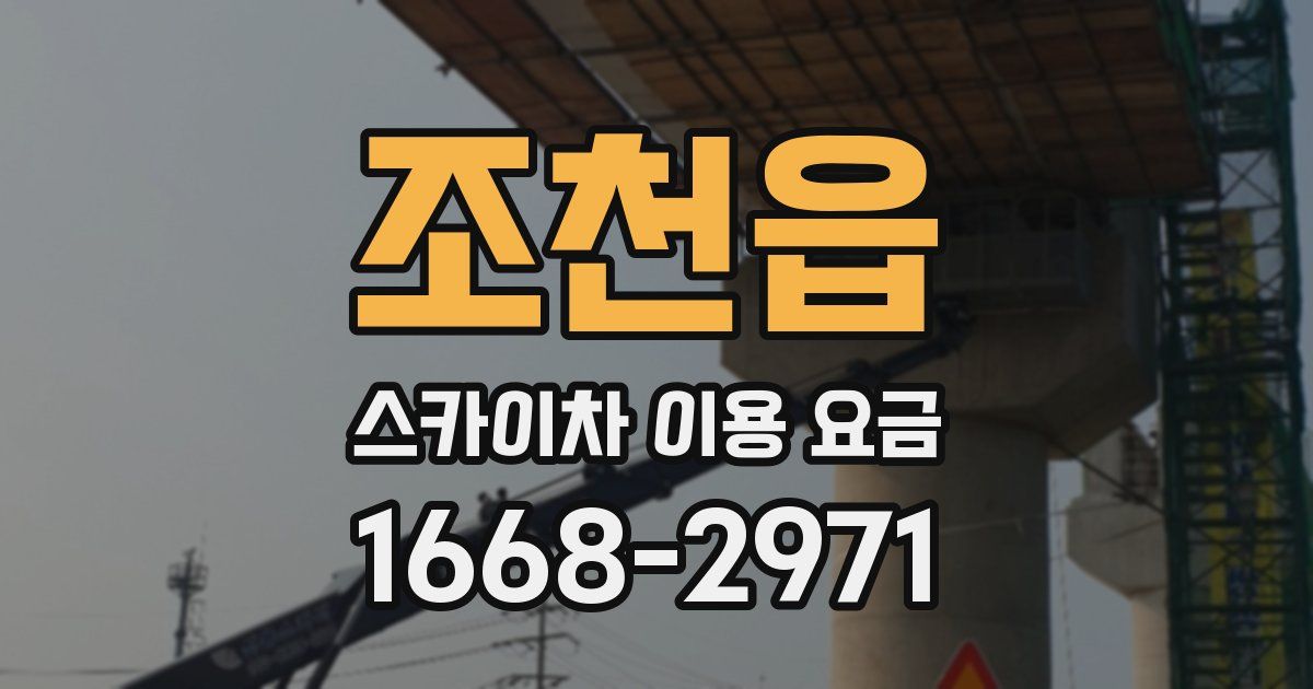 조천읍 스카이차 이용 요금
