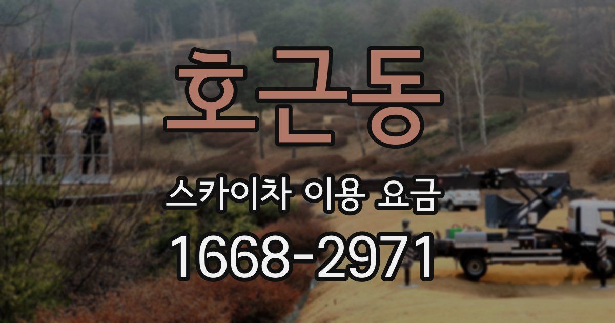 호근동 스카이차 이용 요금