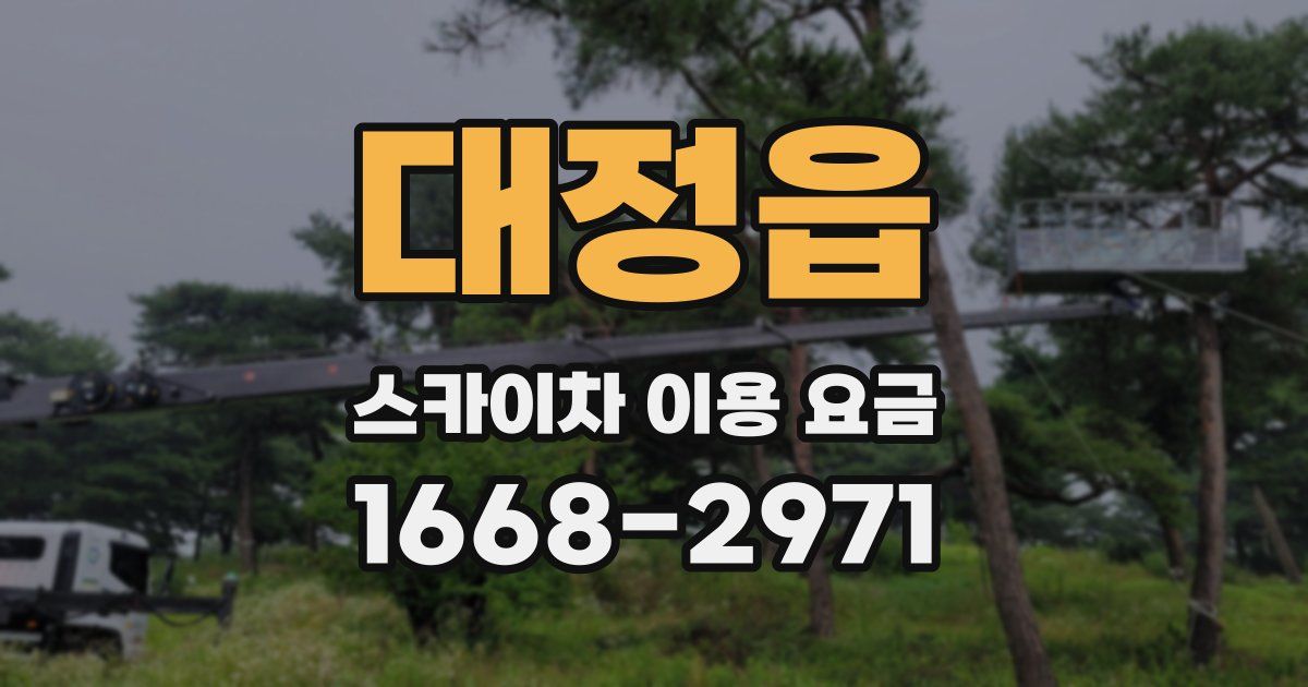 대정읍 스카이차 이용 요금