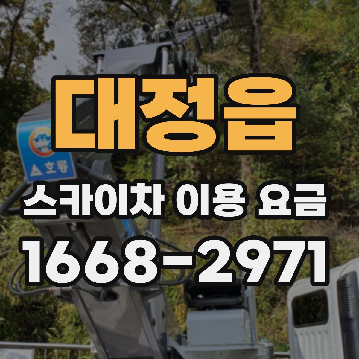 대정읍 스카이차 이용 요금