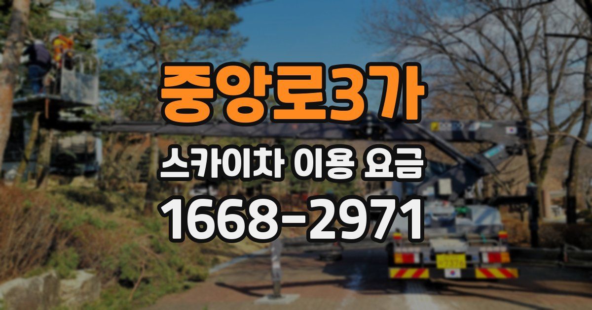 중앙로3가 스카이차 이용 요금