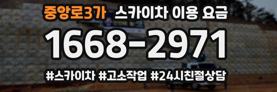 중앙로3가 스카이차 이용 요금