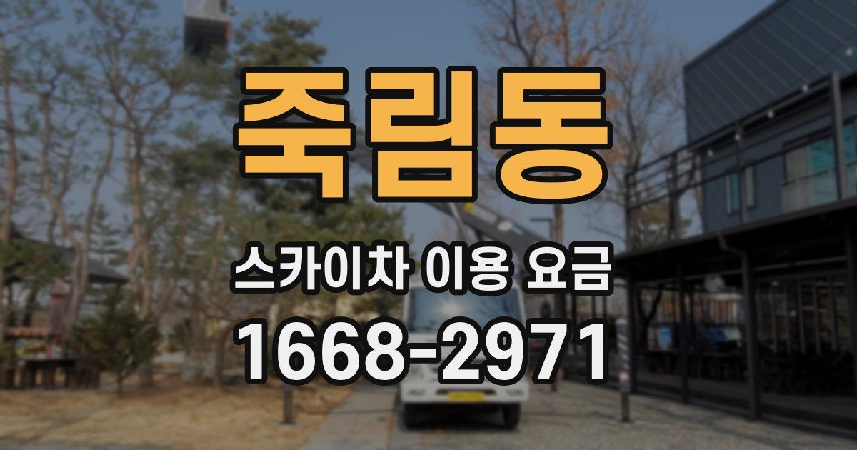 죽림동 스카이차 이용 요금