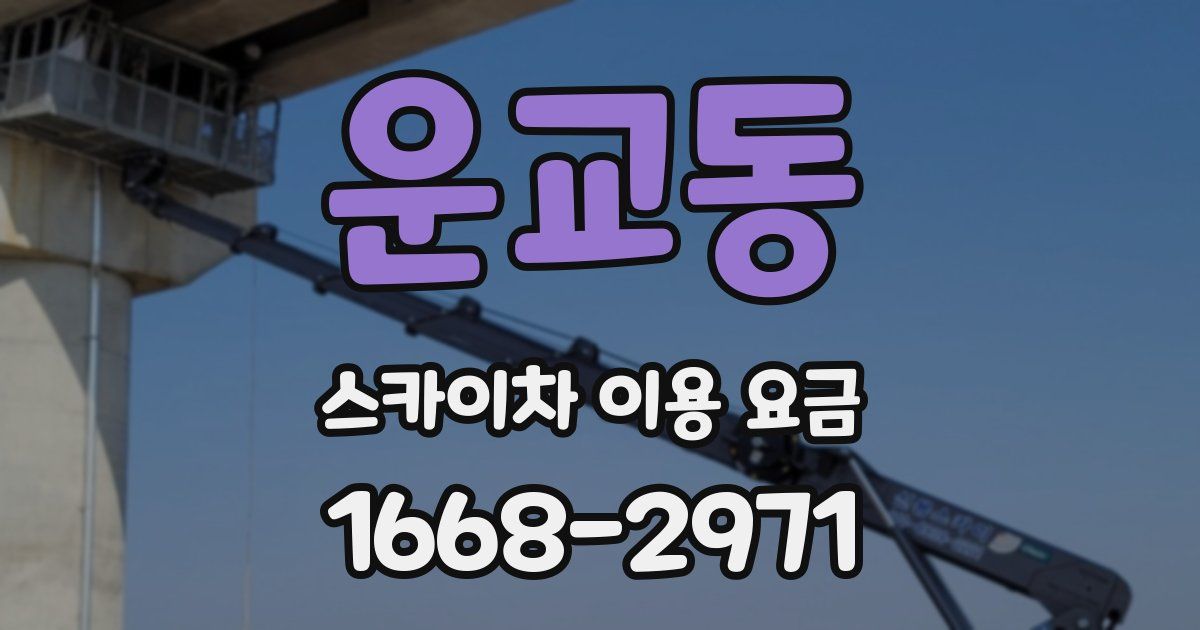 운교동 스카이차 이용 요금