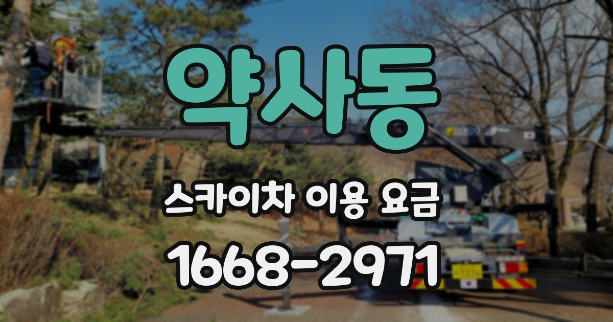 약사동 스카이차 이용 요금