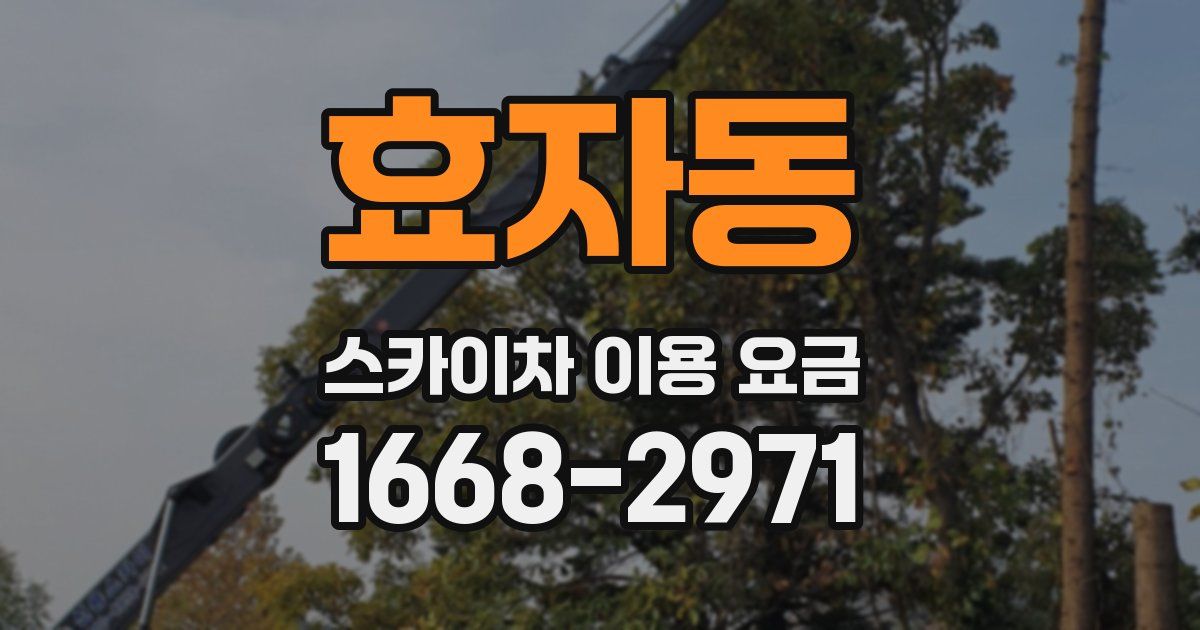 효자동 스카이차 이용 요금
