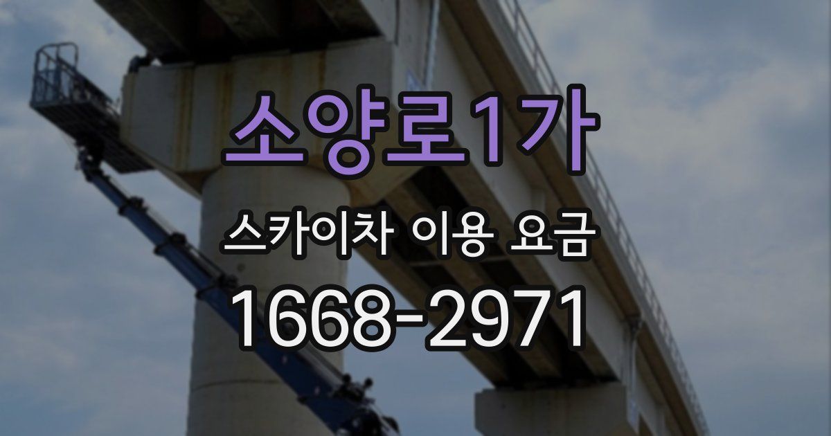 소양로1가 스카이차 이용 요금