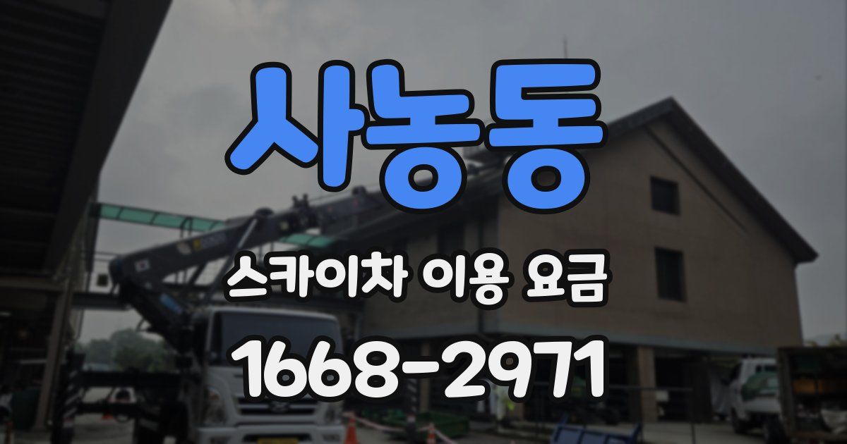 사농동 스카이차 이용 요금