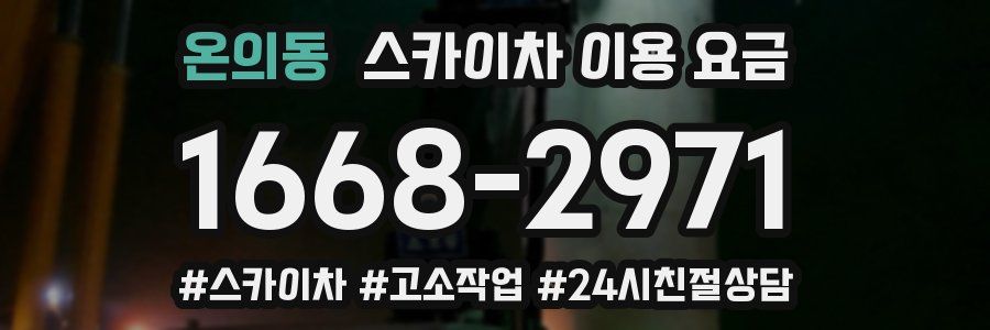 온의동 스카이차 이용 요금