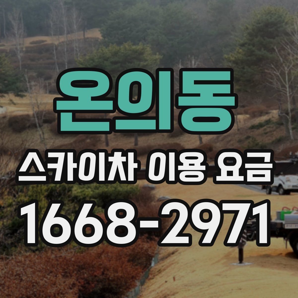 온의동 스카이차 이용 요금