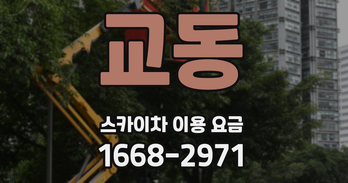 교동 스카이차 이용 요금