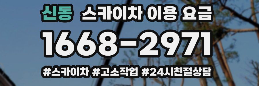 신동 스카이차 이용 요금