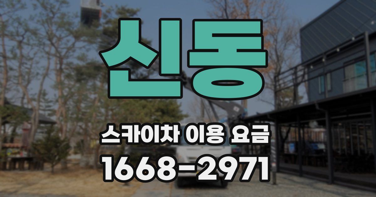 신동 스카이차 이용 요금