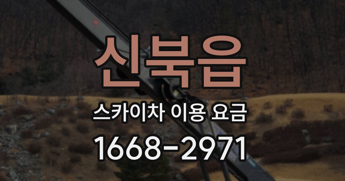 신북읍 스카이차 이용 요금