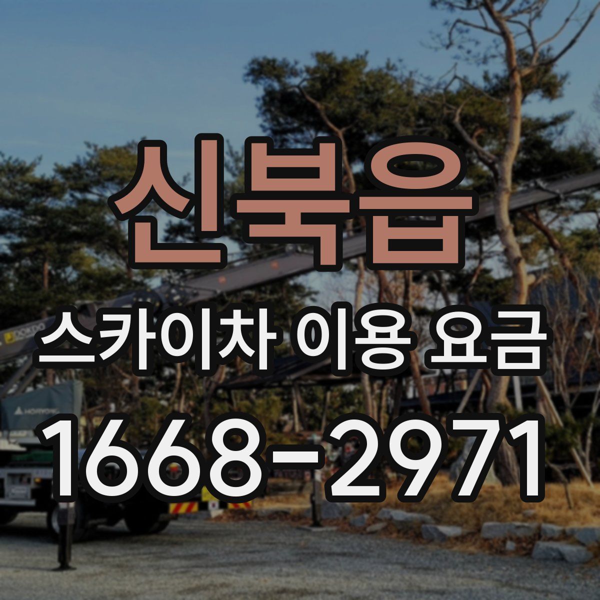 신북읍 스카이차 이용 요금