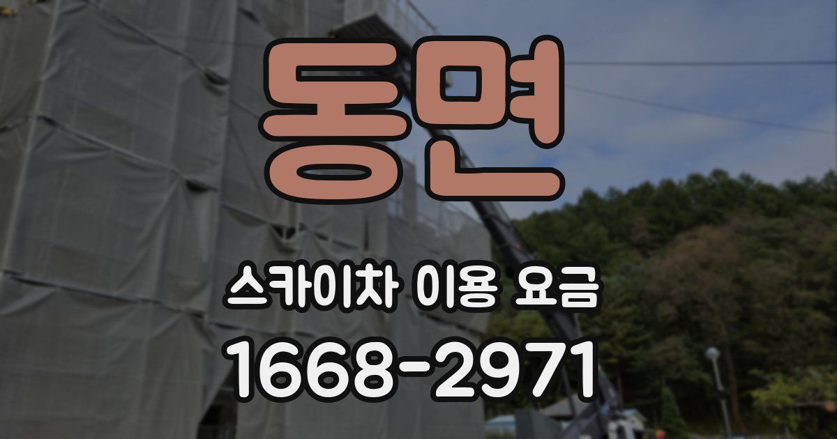 동면 스카이차 이용 요금