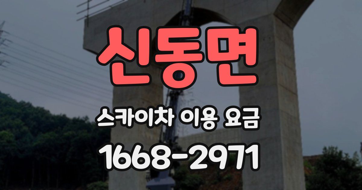 신동면 스카이차 이용 요금